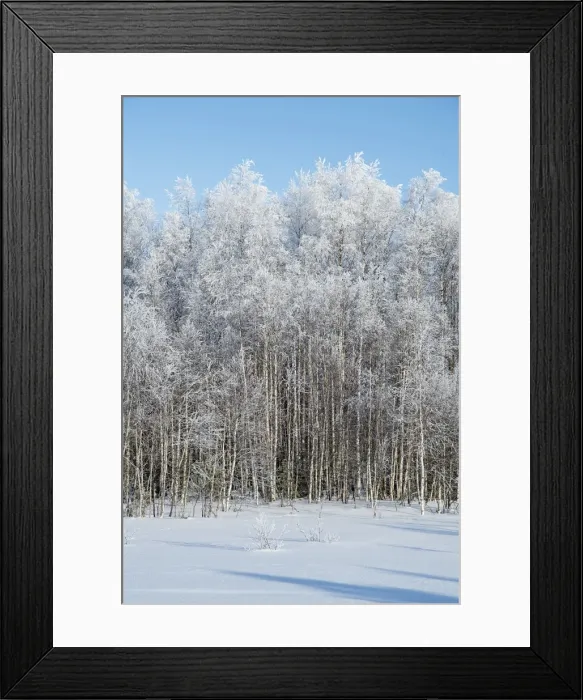 Framed Print : Picture No. 11981943 Framed Print : Picture No. 11981943