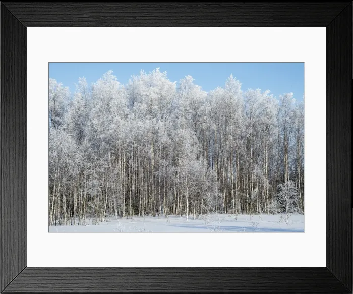 Framed Print : Picture No. 11981944 Framed Print : Picture No. 11981944