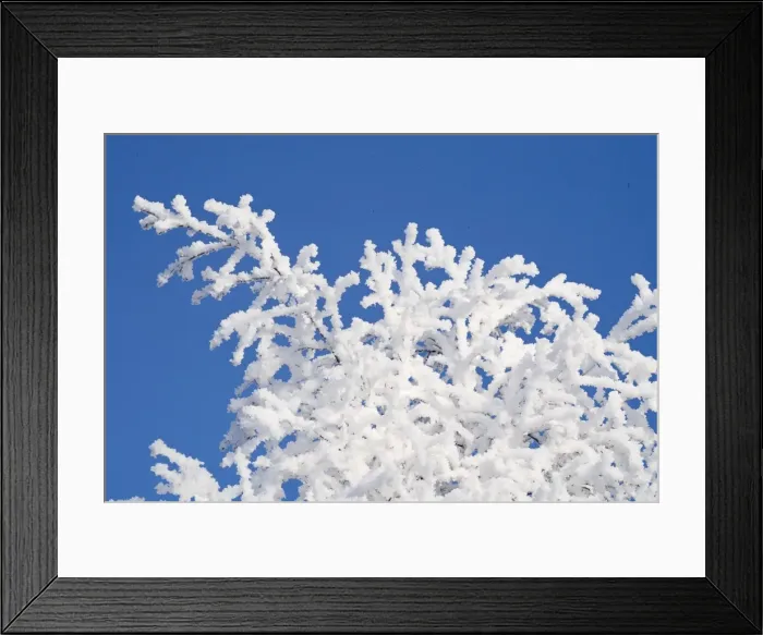 Framed Print : Picture No. 11981949 Framed Print : Picture No. 11981949