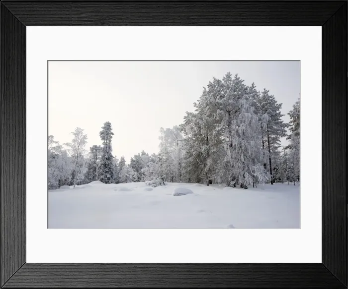 Framed Print : Picture No. 11981952 Framed Print : Picture No. 11981952