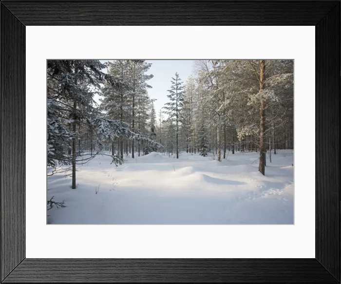 Framed Print : Picture No. 11981953 Framed Print : Picture No. 11981953