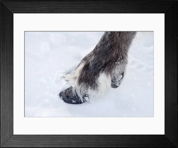 Framed Print : Picture No. 11981959 Framed Print : Picture No. 11981959
