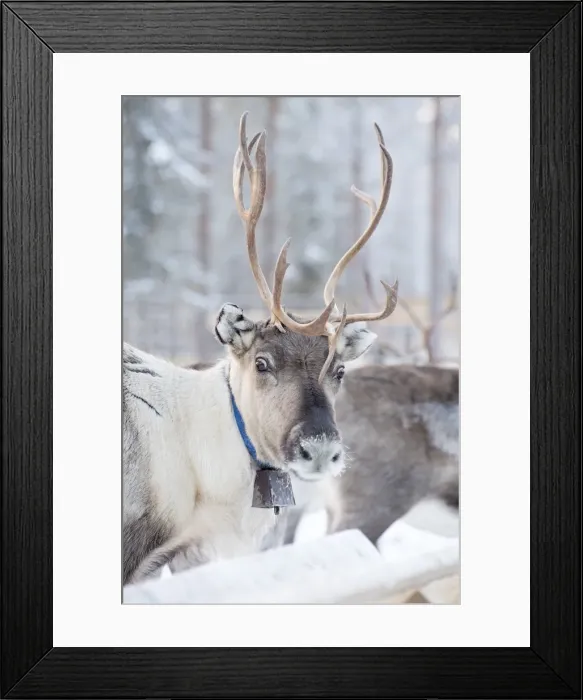 Framed Print : Picture No. 11981963 Framed Print : Picture No. 11981963