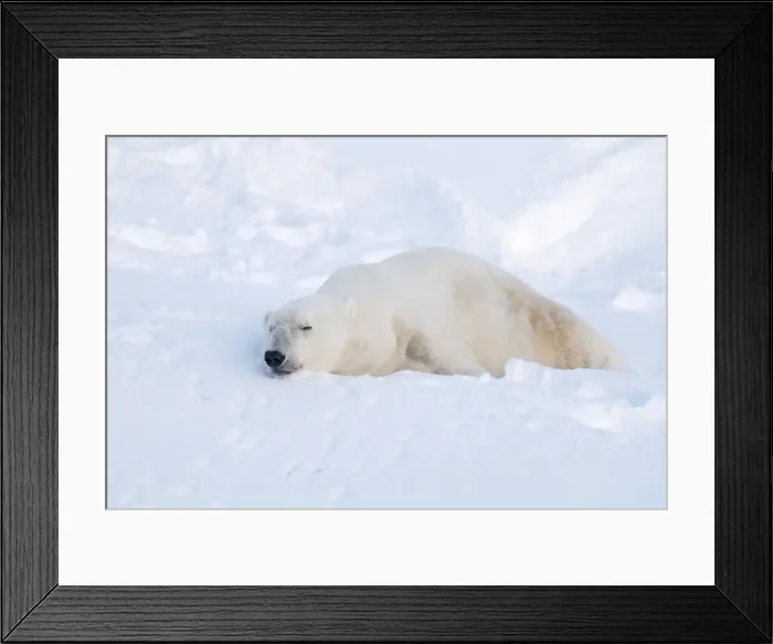 Framed Print : Picture No. 11981998 Framed Print : Picture No. 11981998