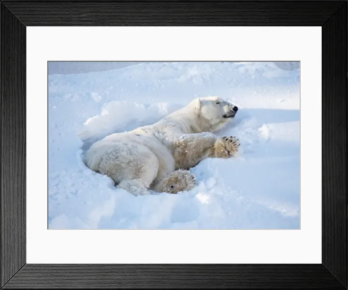 Framed Print : Picture No. 11982004 Framed Print : Picture No. 11982004