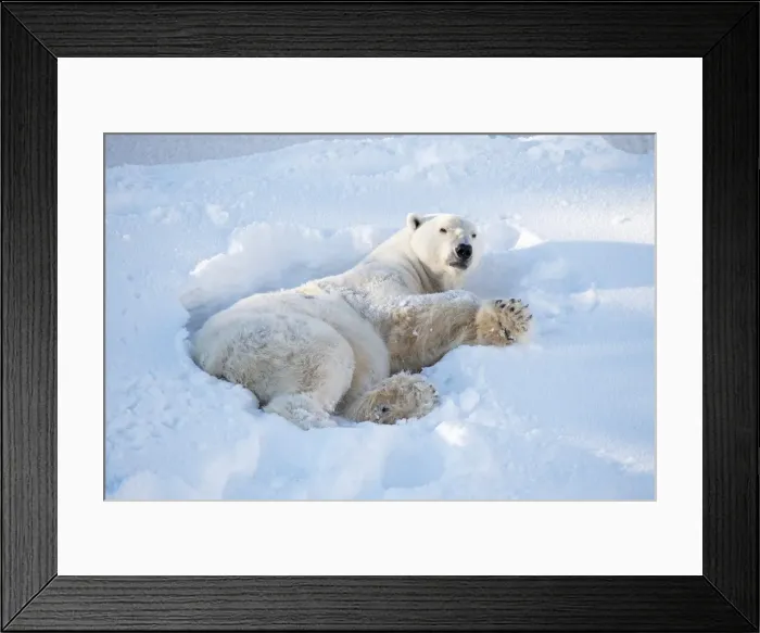Framed Print : Picture No. 11982005 Framed Print : Picture No. 11982005