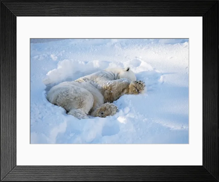 Framed Print : Picture No. 11982006 Framed Print : Picture No. 11982006