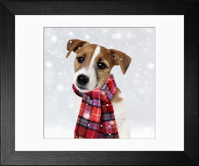 Framed Print : Picture No. 11982398 Framed Print : Picture No. 11982398