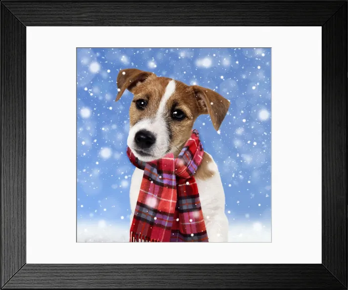 Framed Print : Picture No. 11982399 Framed Print : Picture No. 11982399
