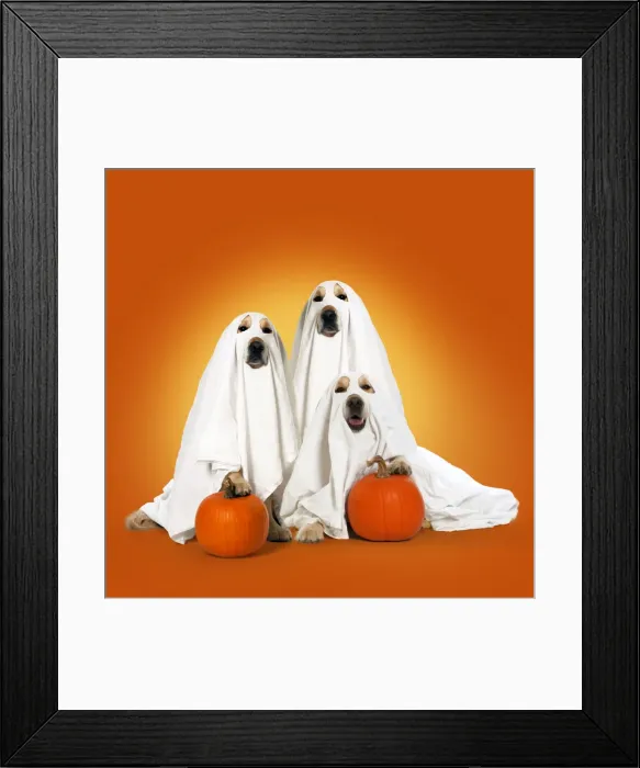 Framed Print : Picture No. 11982401 Framed Print : Picture No. 11982401