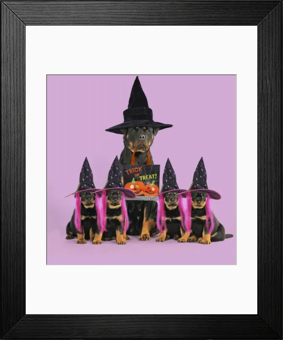 Framed Print : Picture No. 11982402 Framed Print : Picture No. 11982402