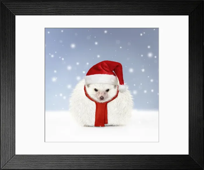 Framed Print : Picture No. 11982403