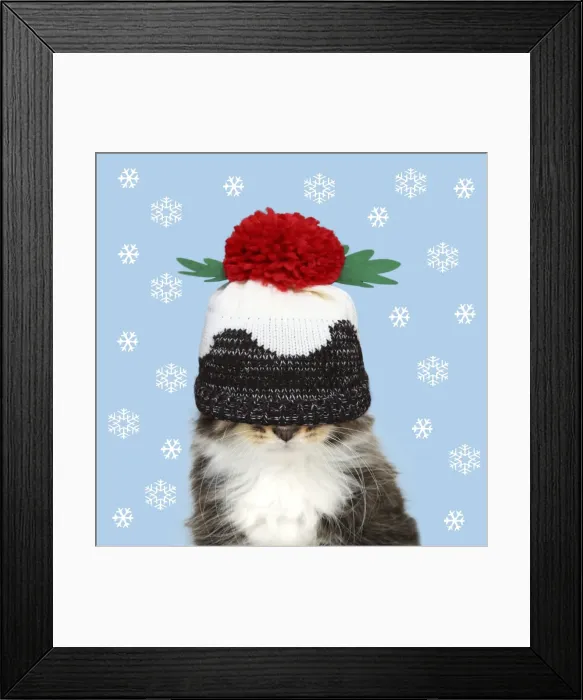 Framed Print : Picture No. 11982404
