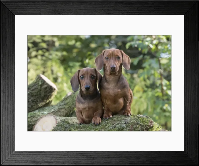 Framed Print : Picture No. 11982188 Framed Print : Picture No. 11982188