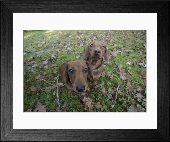 Framed Print : Picture No. 11982190