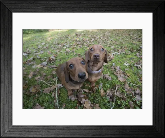 Framed Print : Picture No. 11982191 Framed Print : Picture No. 11982191
