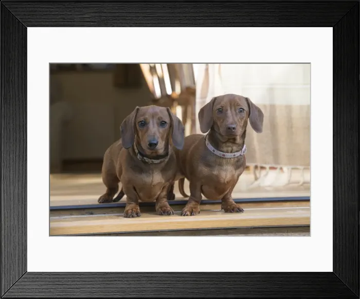 Framed Print : Picture No. 11982192 Framed Print : Picture No. 11982192
