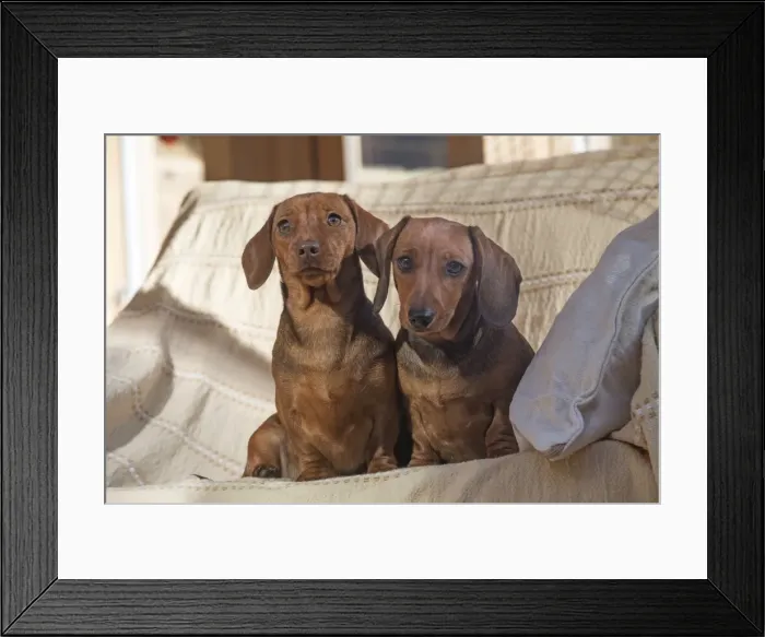 Framed Print : Picture No. 11982194