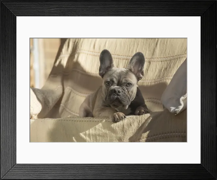 Framed Print : Picture No. 11982196 Framed Print : Picture No. 11982196