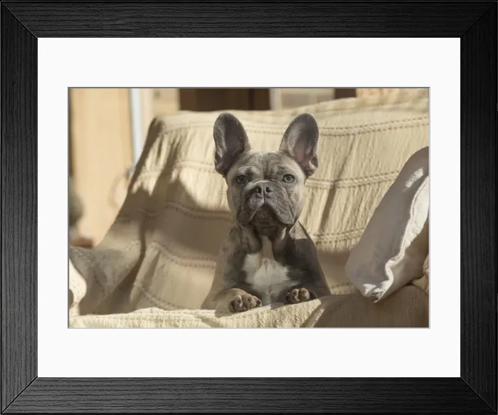 Framed Print : Picture No. 11982198 Framed Print : Picture No. 11982198