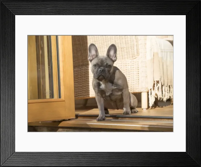 Framed Print : Picture No. 11982199 Framed Print : Picture No. 11982199