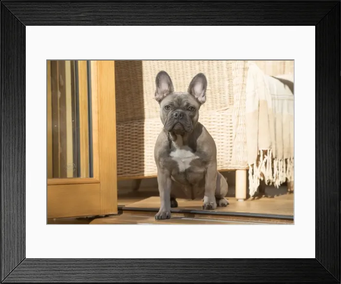 Framed Print : Picture No. 11982200