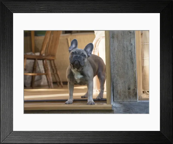 Framed Print : Picture No. 11982201 Framed Print : Picture No. 11982201