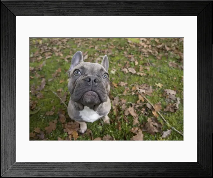 Framed Print : Picture No. 11982205 Framed Print : Picture No. 11982205