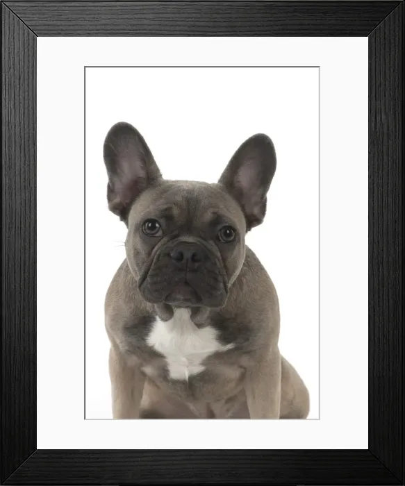 Framed Print : Picture No. 11982217 Framed Print : Picture No. 11982217