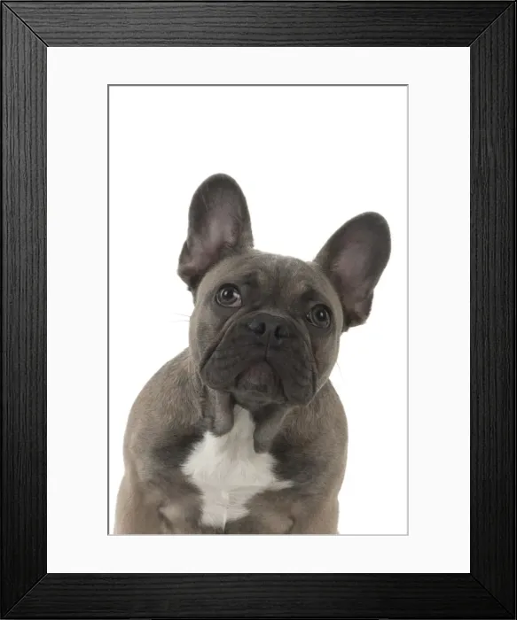 Framed Print : Picture No. 11982218 Framed Print : Picture No. 11982218