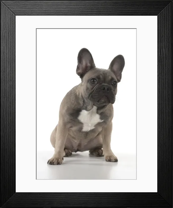 Framed Print : Picture No. 11982220 Framed Print : Picture No. 11982220