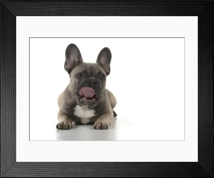 Framed Print : Picture No. 11982224 Framed Print : Picture No. 11982224