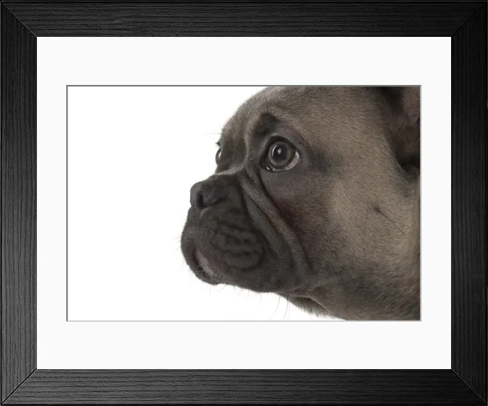 Framed Print : Picture No. 11982229 Framed Print : Picture No. 11982229