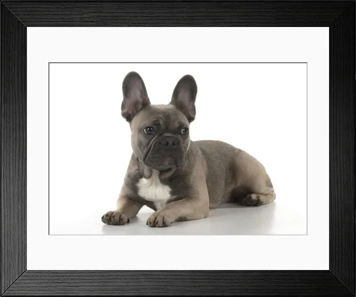 Framed Print : Picture No. 11982230 Framed Print : Picture No. 11982230