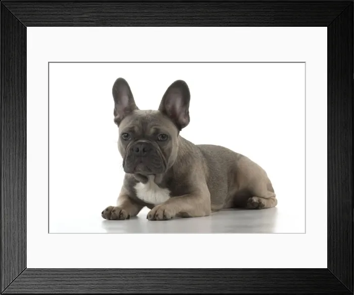 Framed Print : Picture No. 11982231 Framed Print : Picture No. 11982231