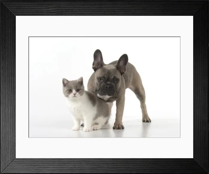 Framed Print : Picture No. 11982235 Framed Print : Picture No. 11982235