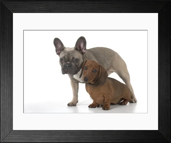 Framed Print : Picture No. 11982237 Framed Print : Picture No. 11982237