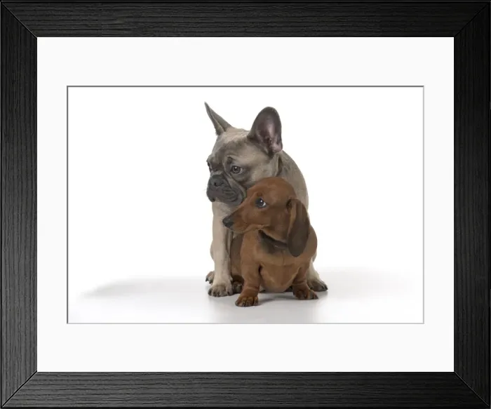 Framed Print : Picture No. 11982241 Framed Print : Picture No. 11982241
