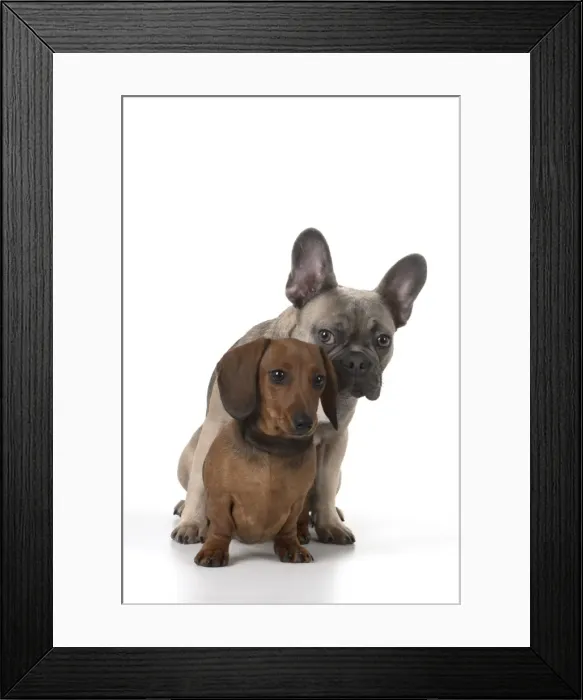 Framed Print : Picture No. 11982243 Framed Print : Picture No. 11982243