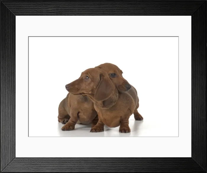 Framed Print : Picture No. 11982244