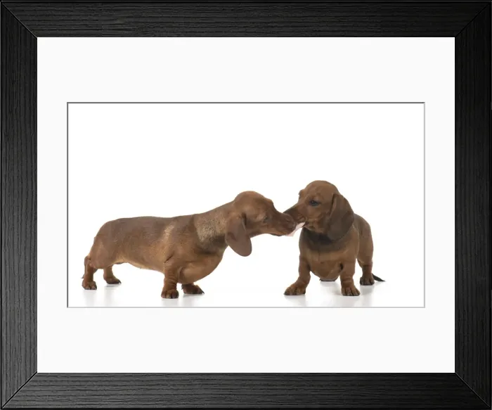 Framed Print : Picture No. 11982250 Framed Print : Picture No. 11982250