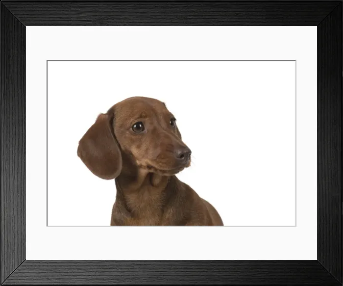 Framed Print : Picture No. 11982253 Framed Print : Picture No. 11982253