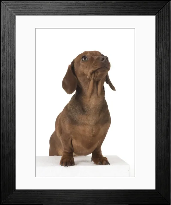Framed Print : Picture No. 11982254 Framed Print : Picture No. 11982254