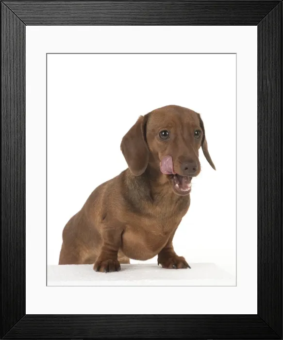 Framed Print : Picture No. 11982255 Framed Print : Picture No. 11982255