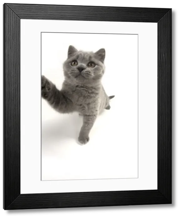 Framed Print : Picture No. 11982267 Framed Print : Picture No. 11982267