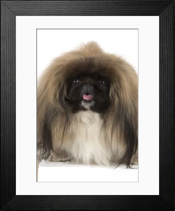 Framed Print : Picture No. 11982278 Framed Print : Picture No. 11982278