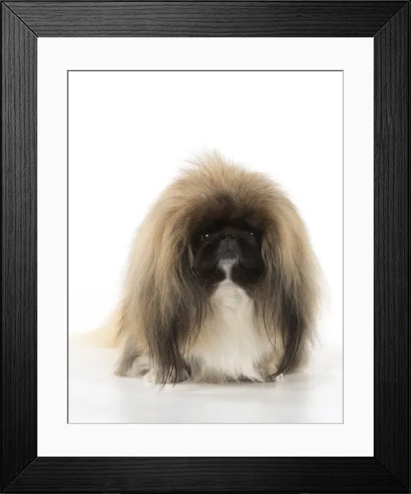 Framed Print : Picture No. 11982279 Framed Print : Picture No. 11982279