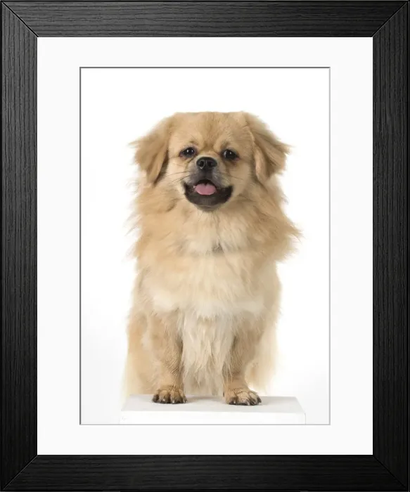 Framed Print : Picture No. 11982315 Framed Print : Picture No. 11982315