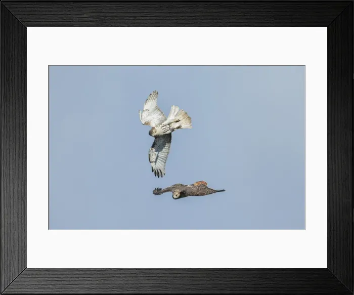 Framed Print : Picture No. 11980665 Framed Print : Picture No. 11980665