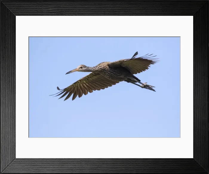 Framed Print : Picture No. 11980671 Framed Print : Picture No. 11980671
